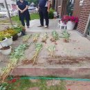 부송팔봉지구대 이미지