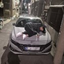 우리양꼬치 | [판교 양꼬치] 까딸 우리 가족 맛집 리얼 후기 🙏🏻