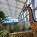 대청호 뷰카페 어썸80더대청-온실 속 힐링 공간, 산책하기 좋은 감성카페