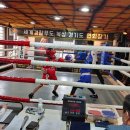 화서복싱체육관 이미지