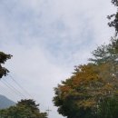 밤머리재홍단풍거리 이미지