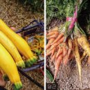 준혁농장 이미지