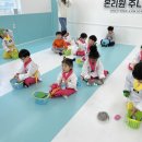주니어7태권도 이미지