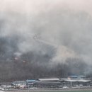 대원2리 이미지