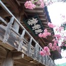 서원농장 이미지