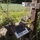 새미민박 이미지