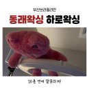 하로하로 | 동래왁싱 하로왁싱 솔직 후기 부산브라질리언 15분 컷 가능?