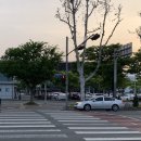씨피코트 | 🫧 나트랑 7ㅣ록 ₊˚⊹🏝️더아남 리조트 프리미엄킹 100번대, 리조트 스파, 룸서비스, 팔리스파, 센스파...
