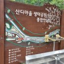 산디마을오토캠핑장 | 대전 숨은 캠핑명소 산디마을오토캠핑장 6월 1박 후기