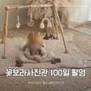 꽃보라 | 이든포레 산후조리원 연계 꽃보라사진관 100일 촬영 후기