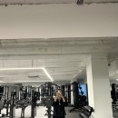 피지컬프로PT 이미지