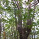 수비초등학교 이미지