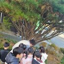 키즈 사이언스 영재 실험교실 | 군산과학학원 필드사이언스챌린지-금강미래체험관