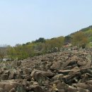 우곡농장 이미지