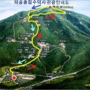 12월 송년산행 - 덕숭산(495m), 수덕사, 예당호 출렁다리 & 송년회 이미지