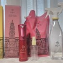 지비에이 | 주방전용 GBA 세솔(레몬, 무첨가), 지비에이 소독제 600ML 스프레이