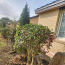 나들이 민박 | 제주민박 알밤오름하우스 방문후기