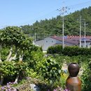 소안힐링펜션 이미지