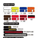 용인대 수 합기도 이미지