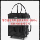 헬켄 롤링카트 롤링 토트백 내돈내산, 짐꾼 해방 솔직 후기