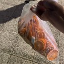 고앤고투어 | 8월_동심과 낭만 충천