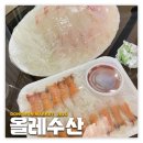 제주/동문시장: 올레수산 | 제주 여행 필수 메뉴 딱새우회 참돔 광어회 내돈내산 후기