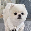 멍블링 이미지
