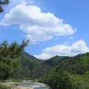 숲속의 빈터 이미지