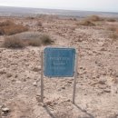 우리염소 이미지