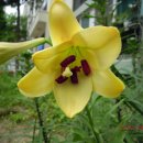 수학경로당 이미지