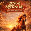 적토마 티스토리
