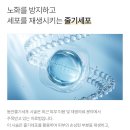 그랜드피부과의원 | 강남 피부재생줄기세포로 잡티·색소 완화 후기