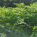 신구농장 이미지