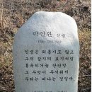 세월한잔마시고 네이버블로그
