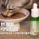 웰케어동물병원 | 웰케어 락토드랍 액상 고양이유산균