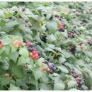 유가네농장 이미지