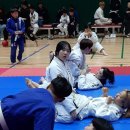 팀 스트라익 주짓수 킥복싱 합기도 이미지