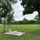 영등포구 | 영등포구 1인가구 프로그램 후기｜여의도 한강 피크닉 + 한강유람선 체험후기