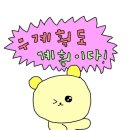 캔쿤 | 하와이 신혼여행기 1탄 - 마우이까지는 너무 멀다야✈️