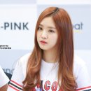 팬콧