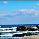 너른 품 으로 안아 주는 고향 바다 이미지