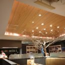 오감면발 | [도쿄 긴자 맛집] 160년 전통의 이나니와 우동 '긴자 사토요스케' : 인생 면발을 만나다