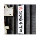 문캐터리 이미지