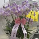 (주)지이오