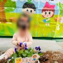 충주어린이집 이미지