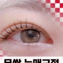 디디디자인 이미지