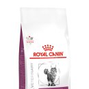 로얄펫동물병원 이미지