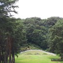 김극뉴 묘역 이미지