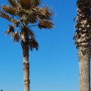 재기농산 이미지