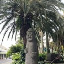 제주다반사 이미지